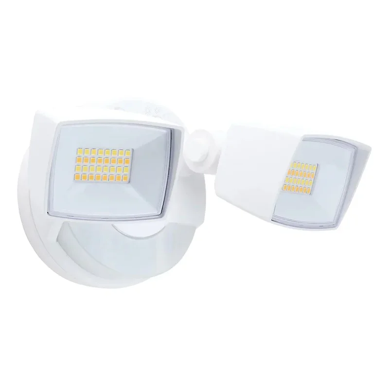 beeslighting12660484