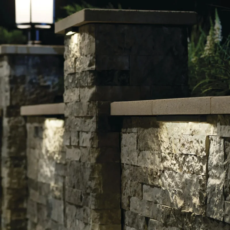 beeslighting12661199
