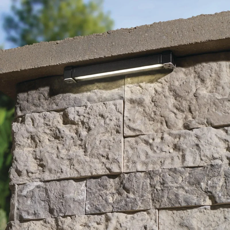 beeslighting12661814