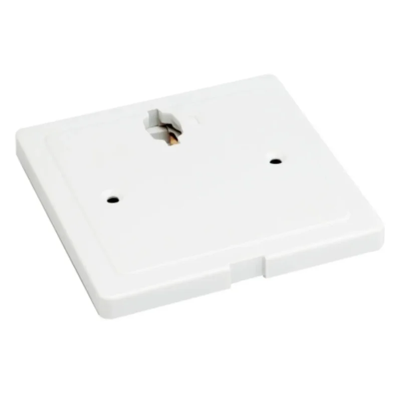 beeslighting12662853