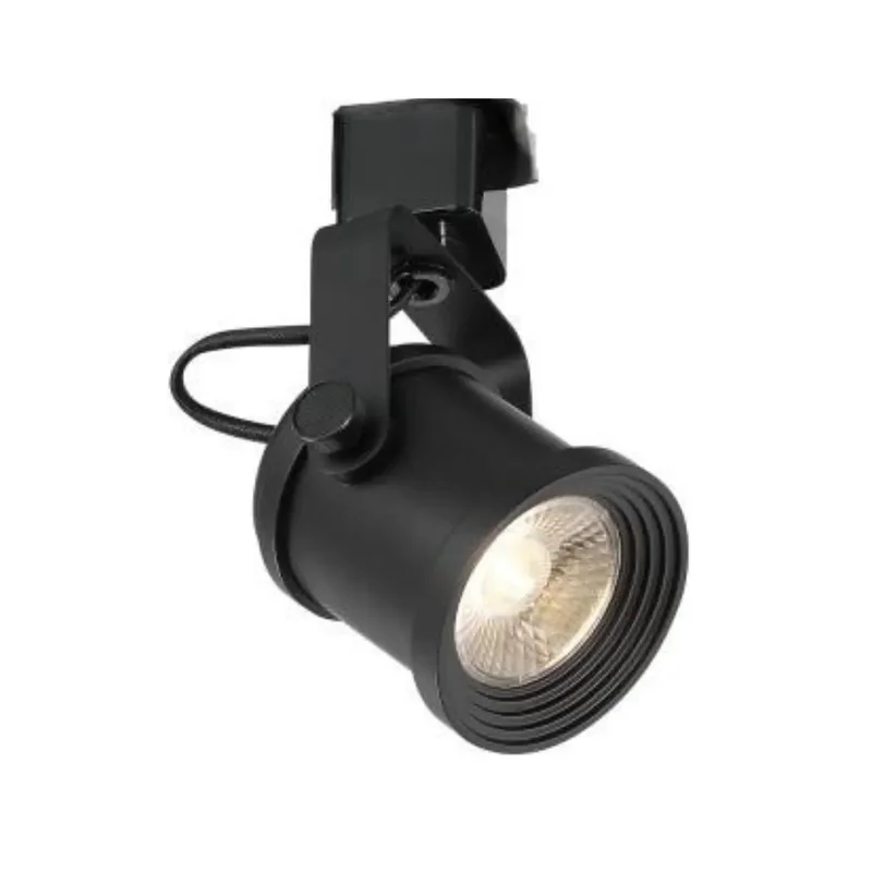 beeslighting12662916
