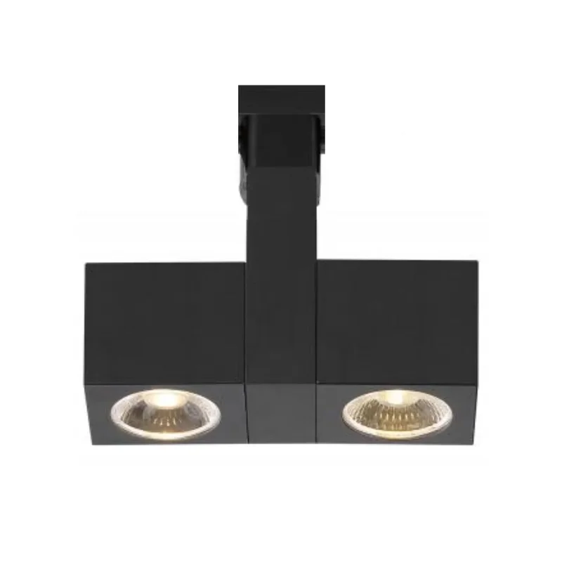 beeslighting12663013