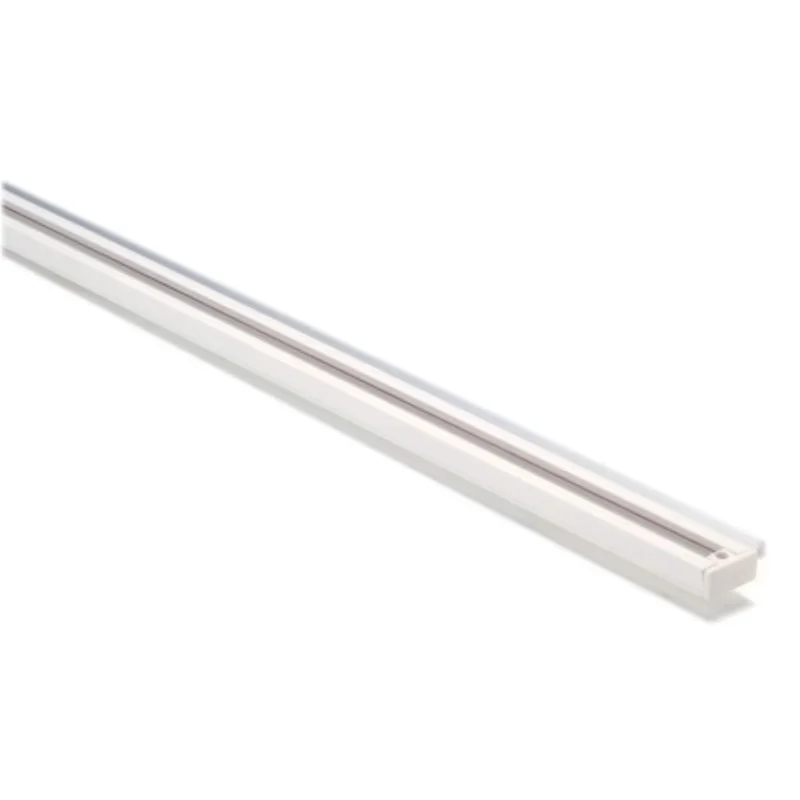 beeslighting12663032