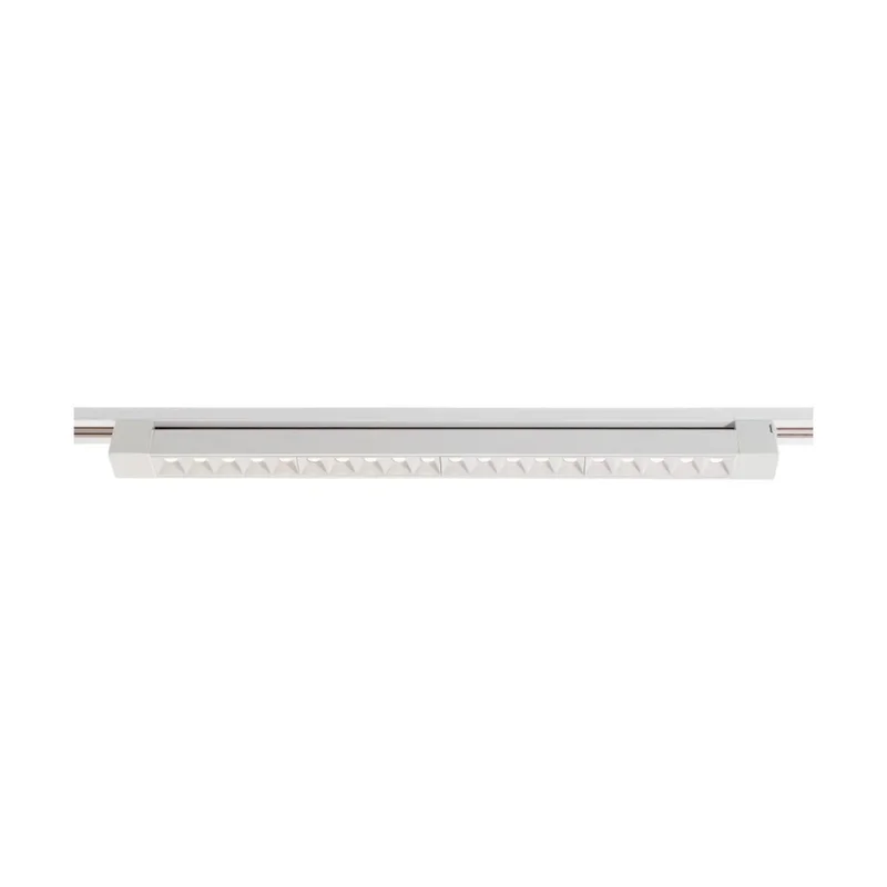 beeslighting12663183