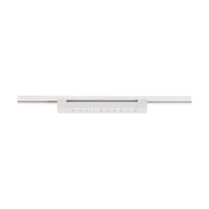 beeslighting12663291
