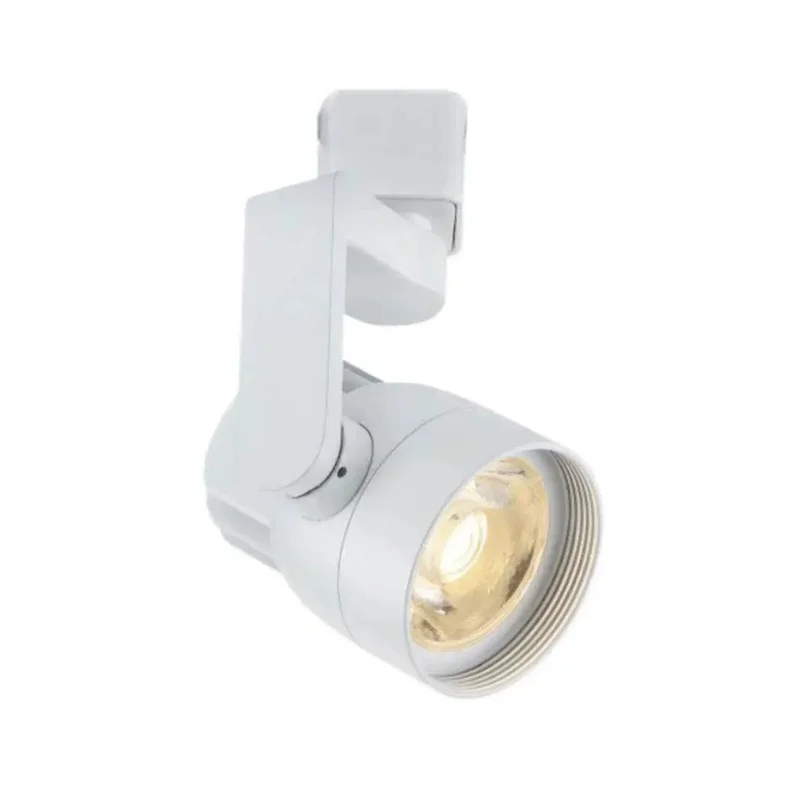 beeslighting12663486