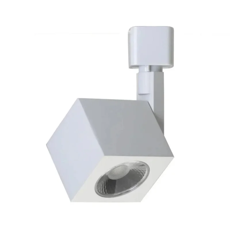 beeslighting12663506