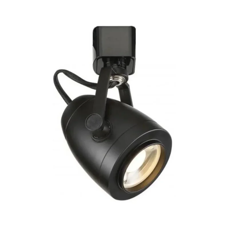 beeslighting12663566