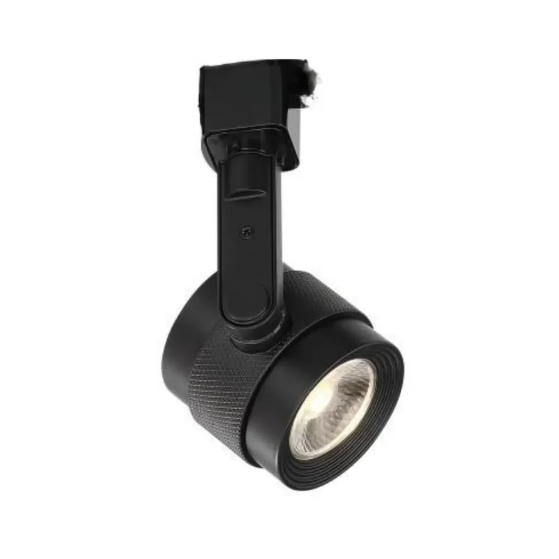beeslighting12663609