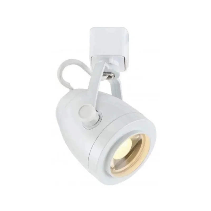 beeslighting12663716