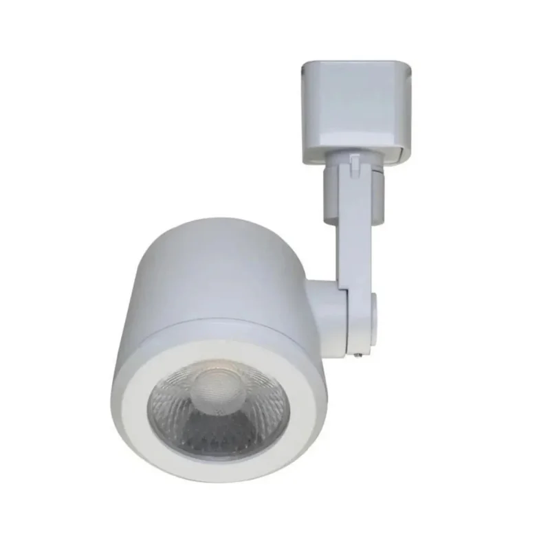 beeslighting12663762