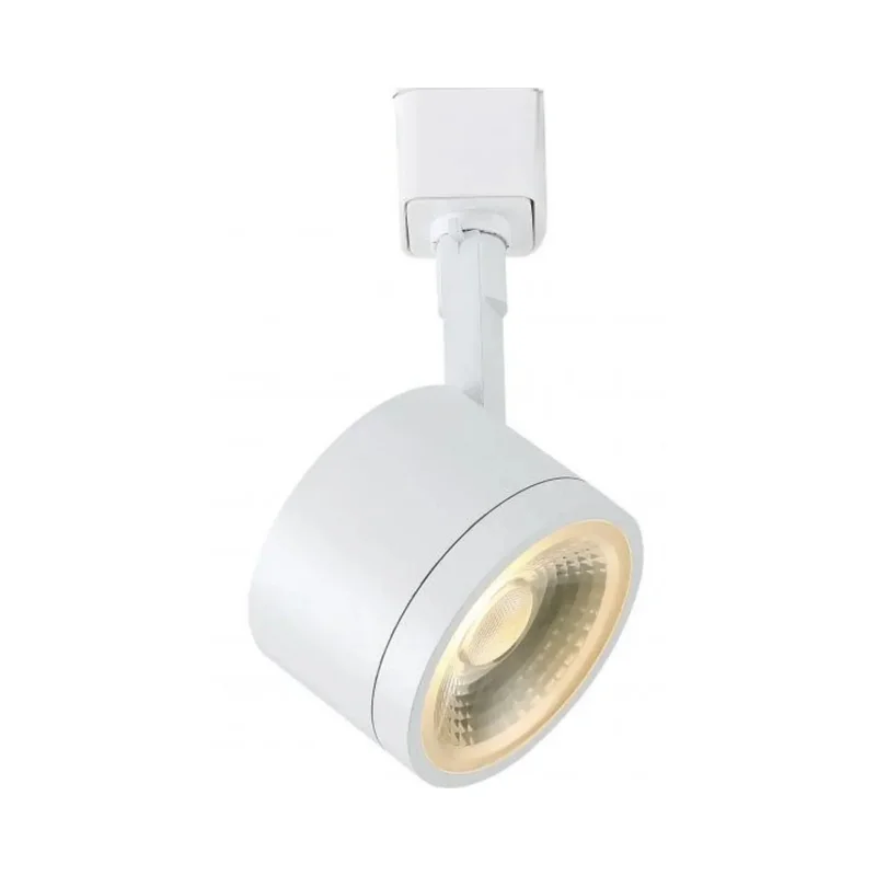 beeslighting12663843