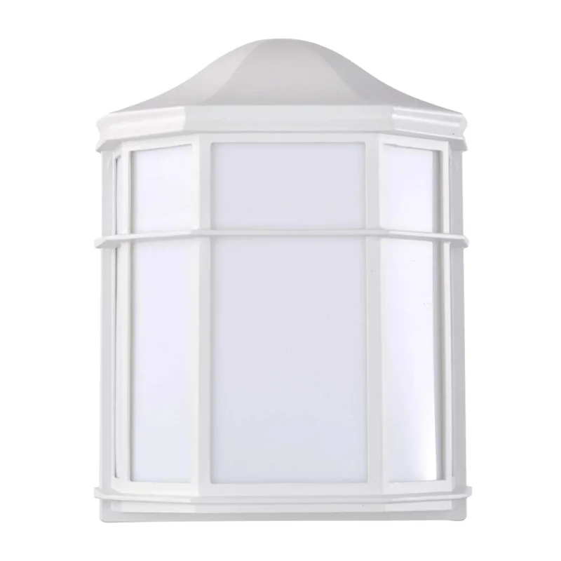 beeslighting12663907
