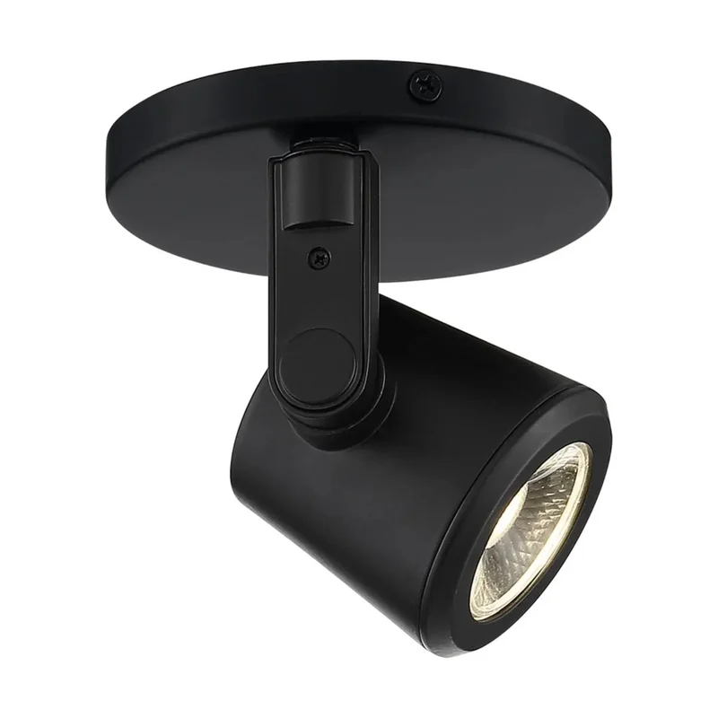 beeslighting12664779