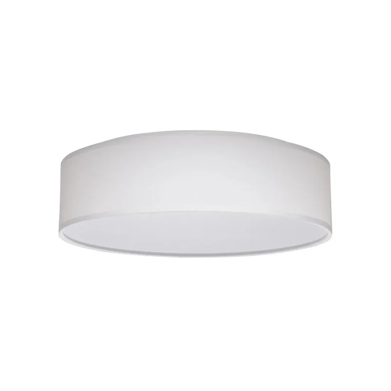 beeslighting12664869