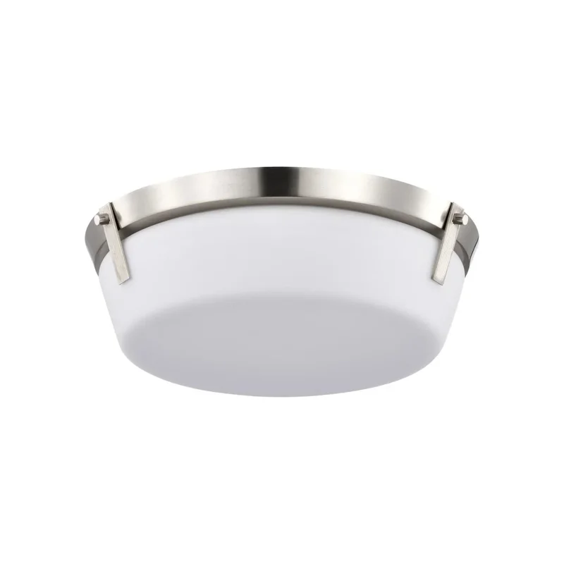 beeslighting12664959