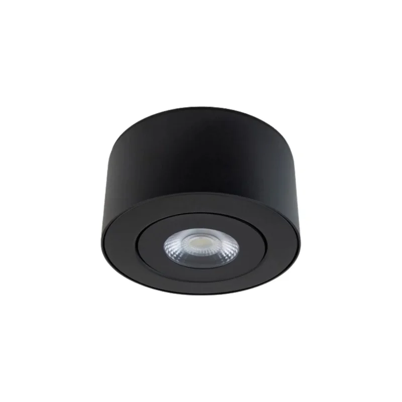 beeslighting22455511
