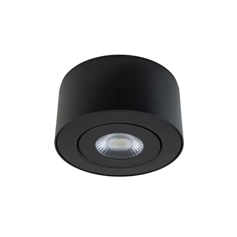 beeslighting22458509