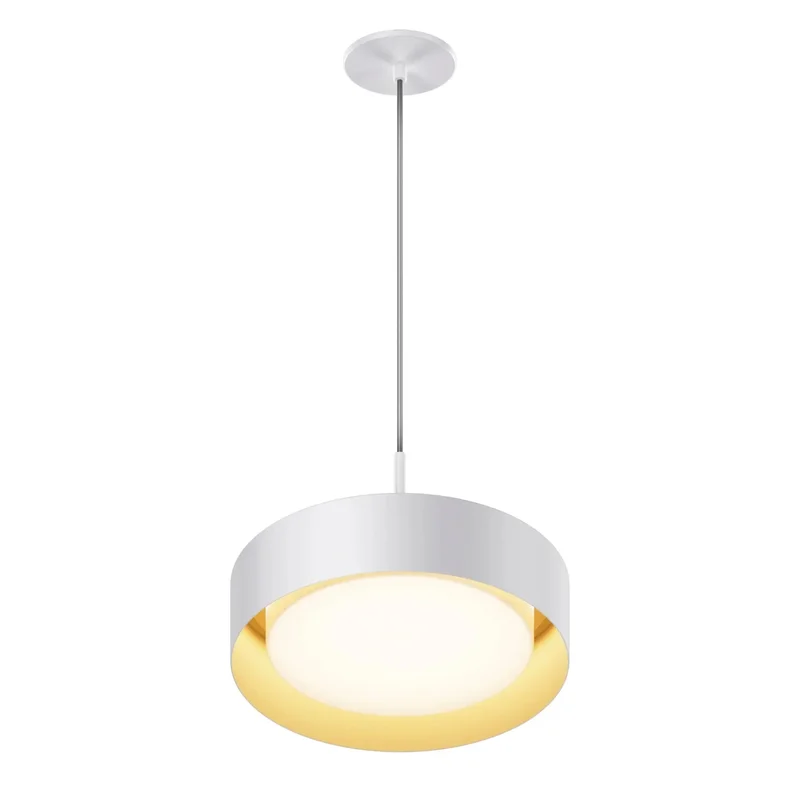 beeslighting22542528