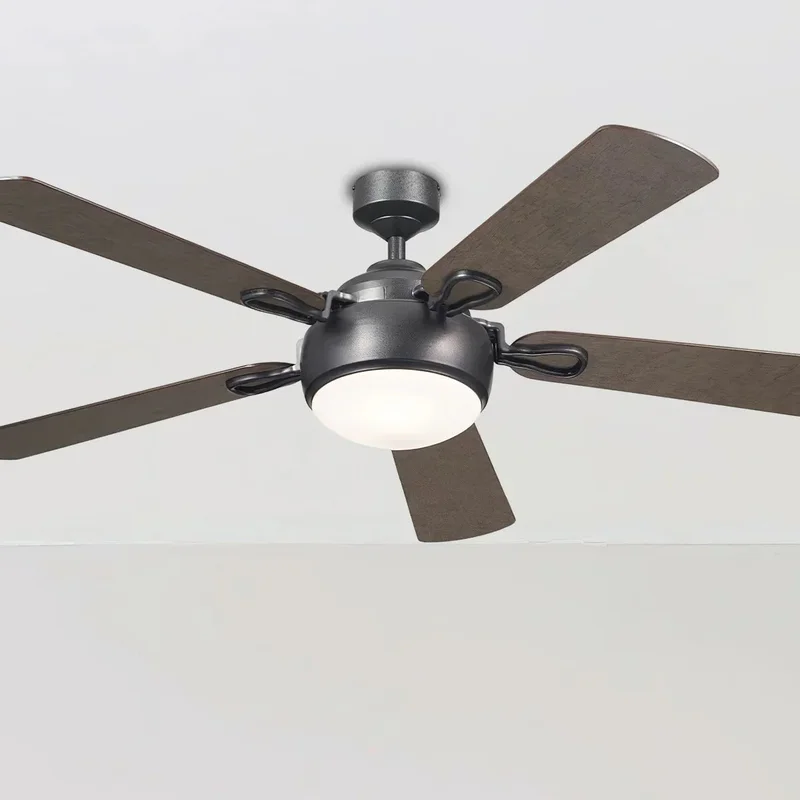 beeslighting22573539