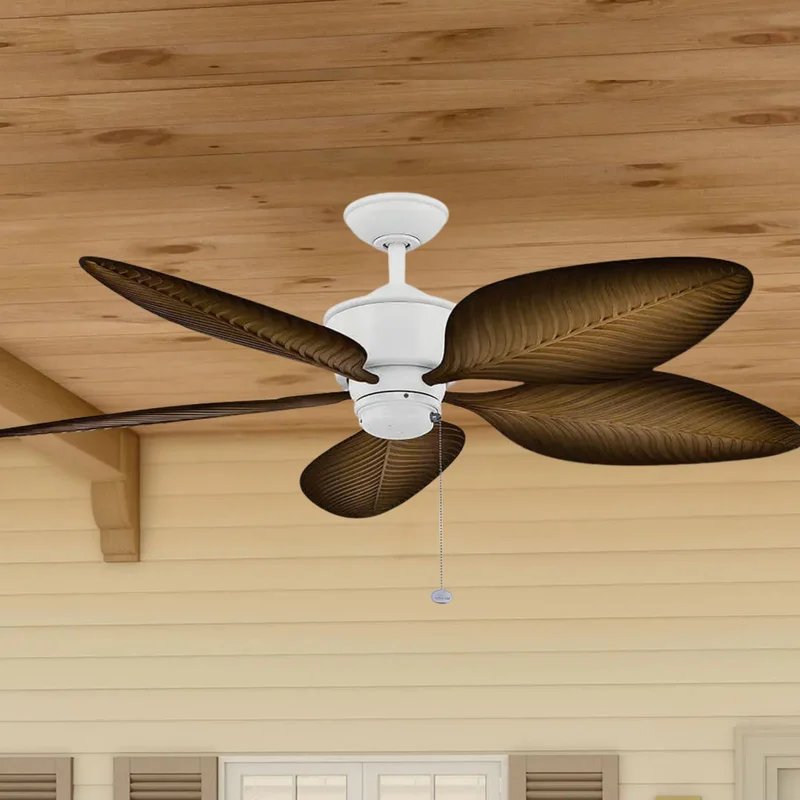 beeslighting22574395