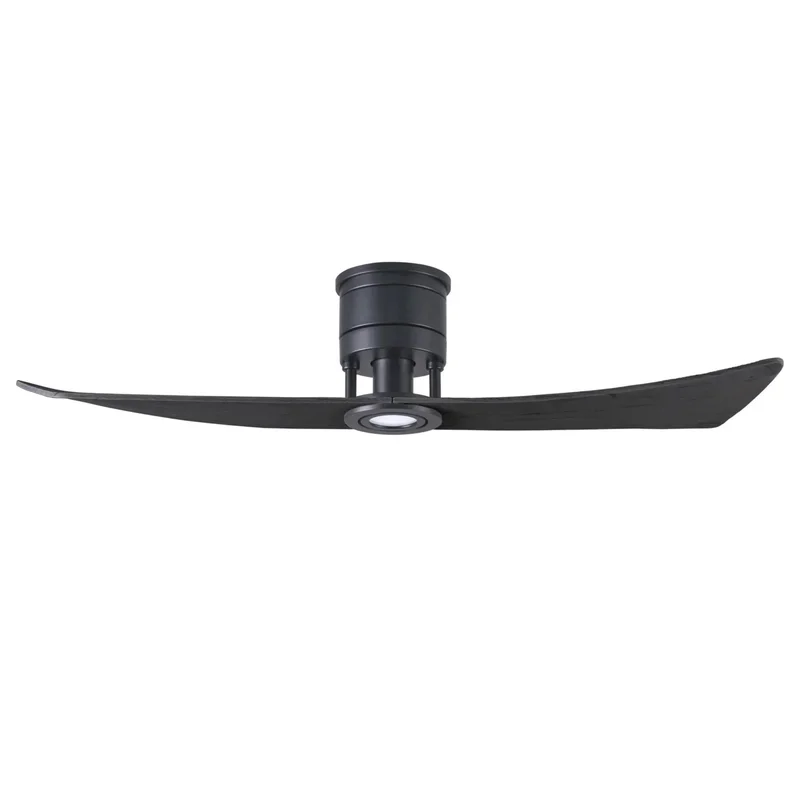 beeslighting22594184