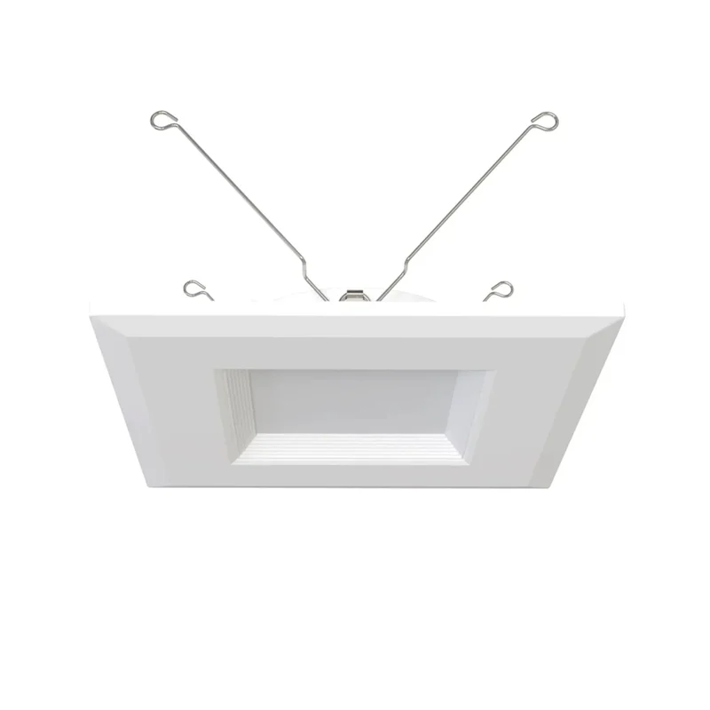 beeslighting22594934