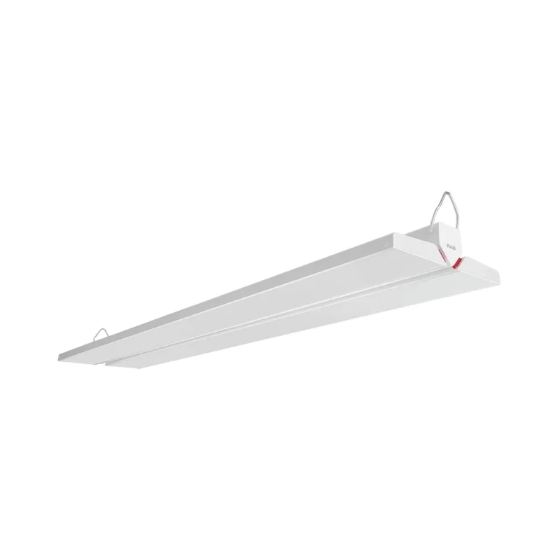 beeslighting22596639