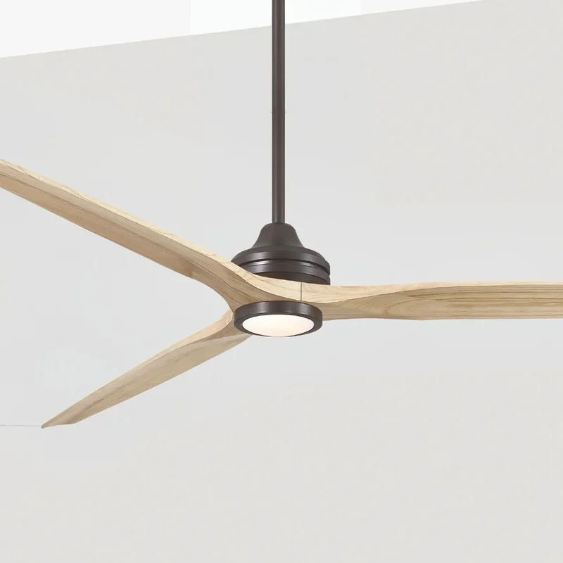 beeslighting22601368