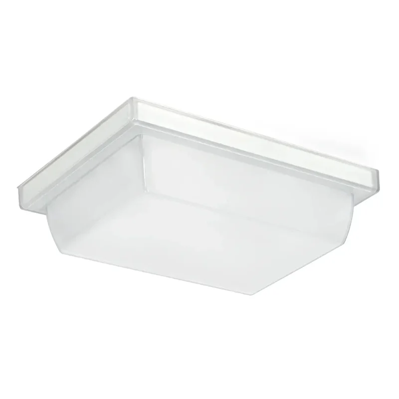 beeslighting22602077