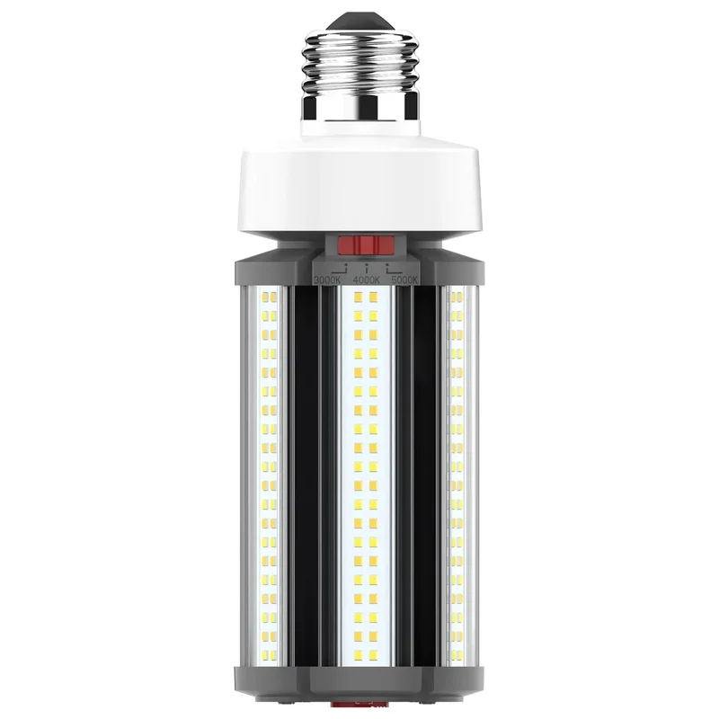 beeslighting22606018