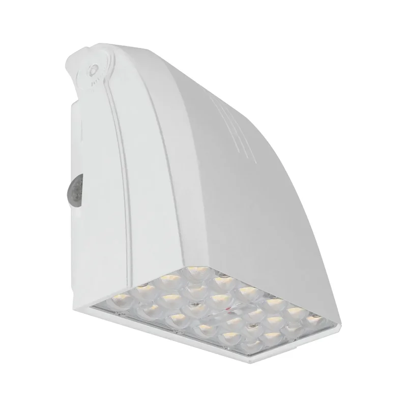 beeslighting22608915