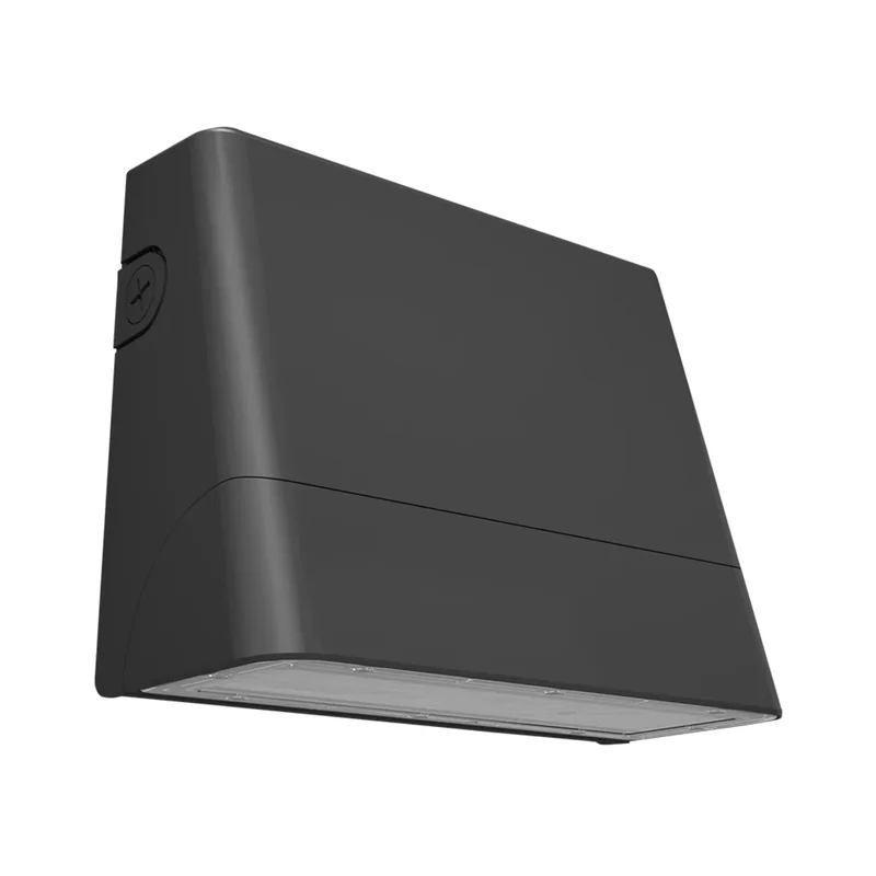 beeslighting22609499