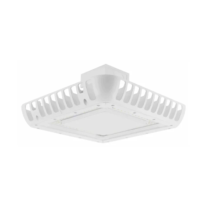 beeslighting22610724