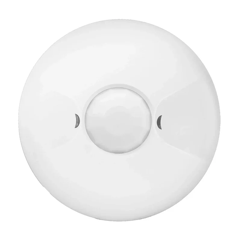beeslighting22611912