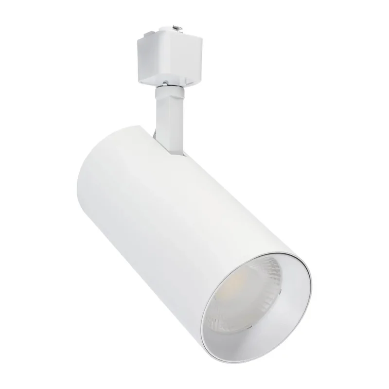 beeslighting22612607