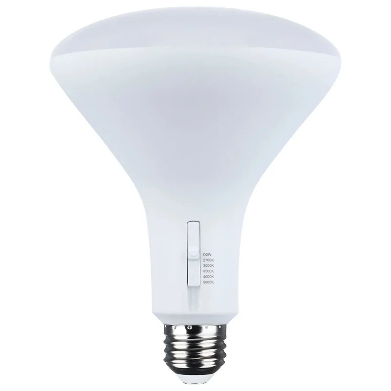 beeslighting22613451