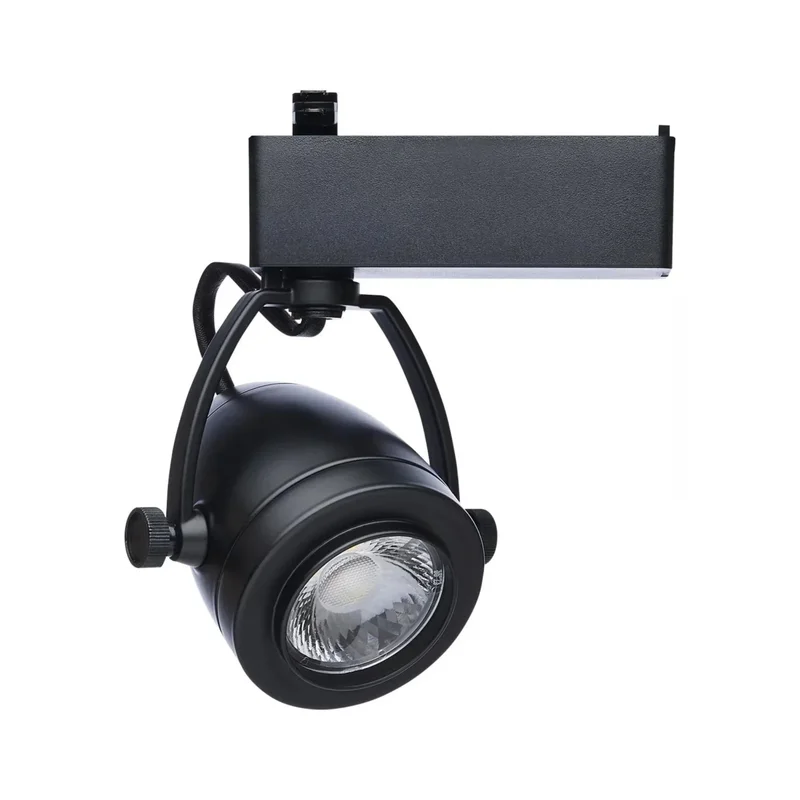 beeslighting22613582