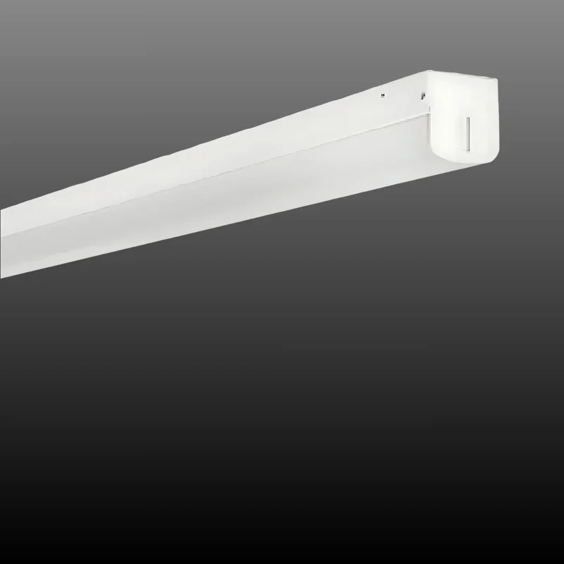 beeslighting22613848
