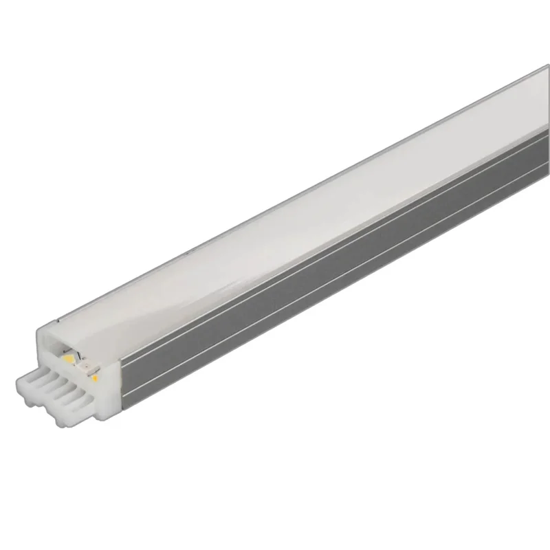 beeslighting22615271