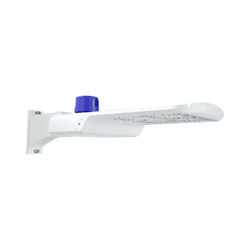 beeslighting22615835