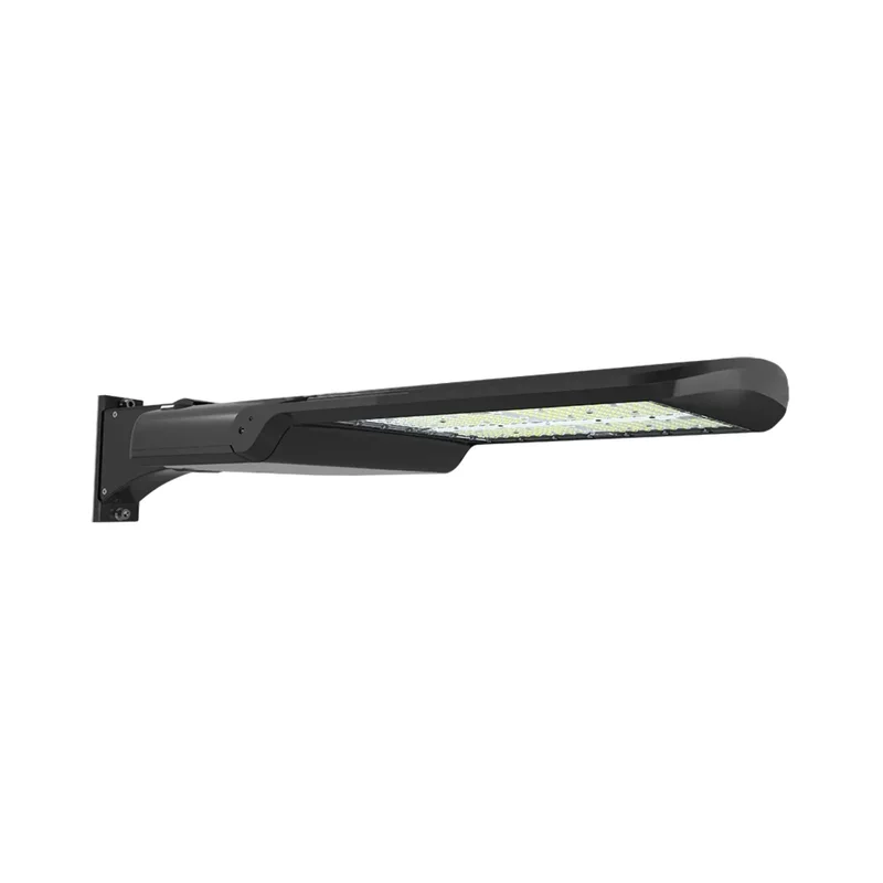 beeslighting22615856