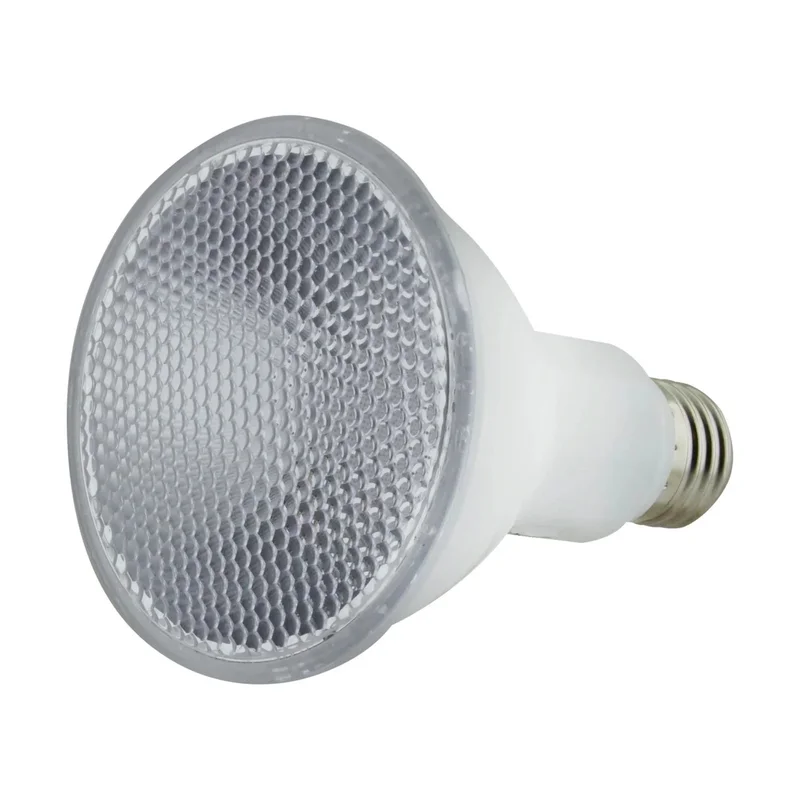 beeslighting22616779