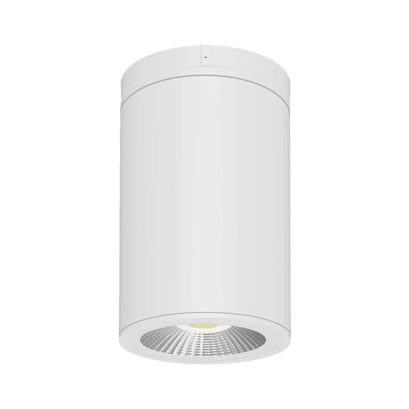 beeslighting22617365