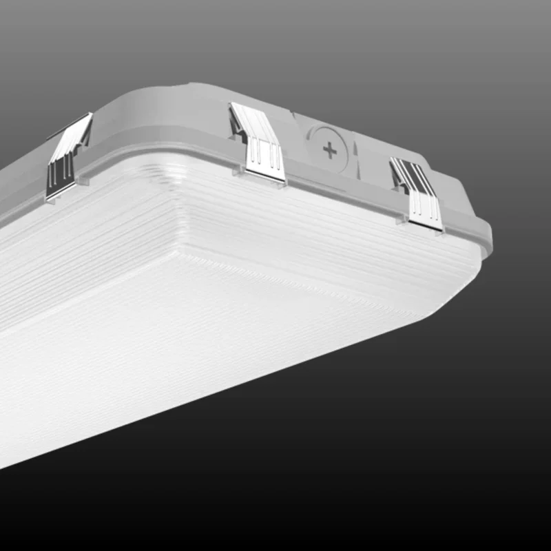 beeslighting22617442