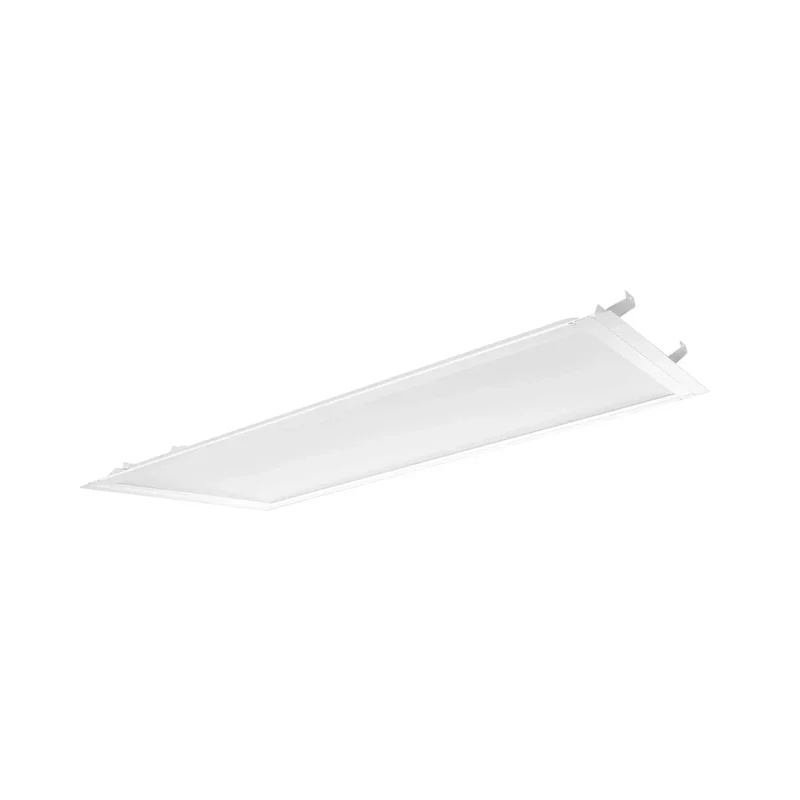 beeslighting22618749