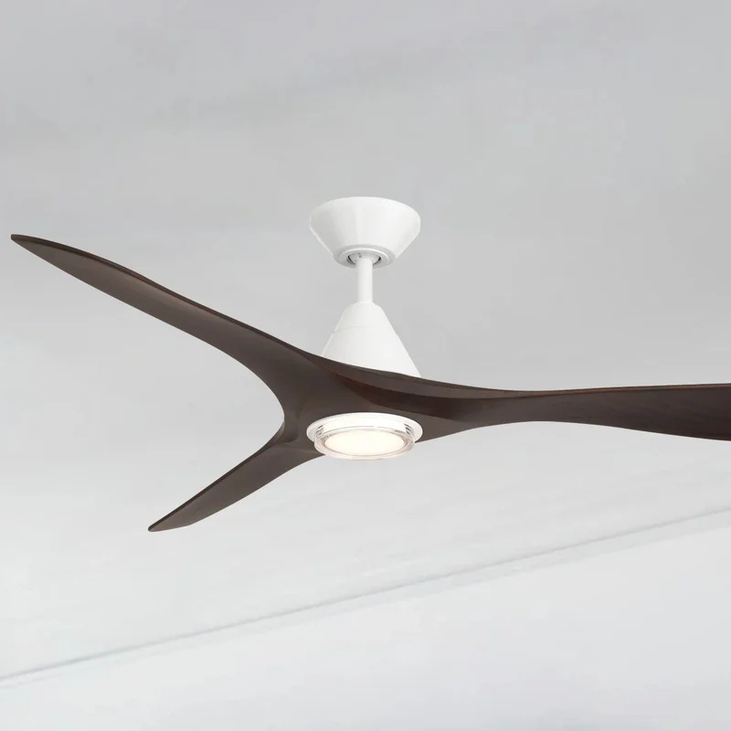 beeslighting22618869
