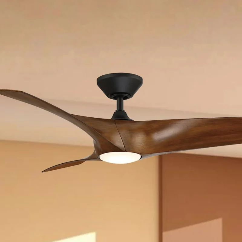 beeslighting22618951
