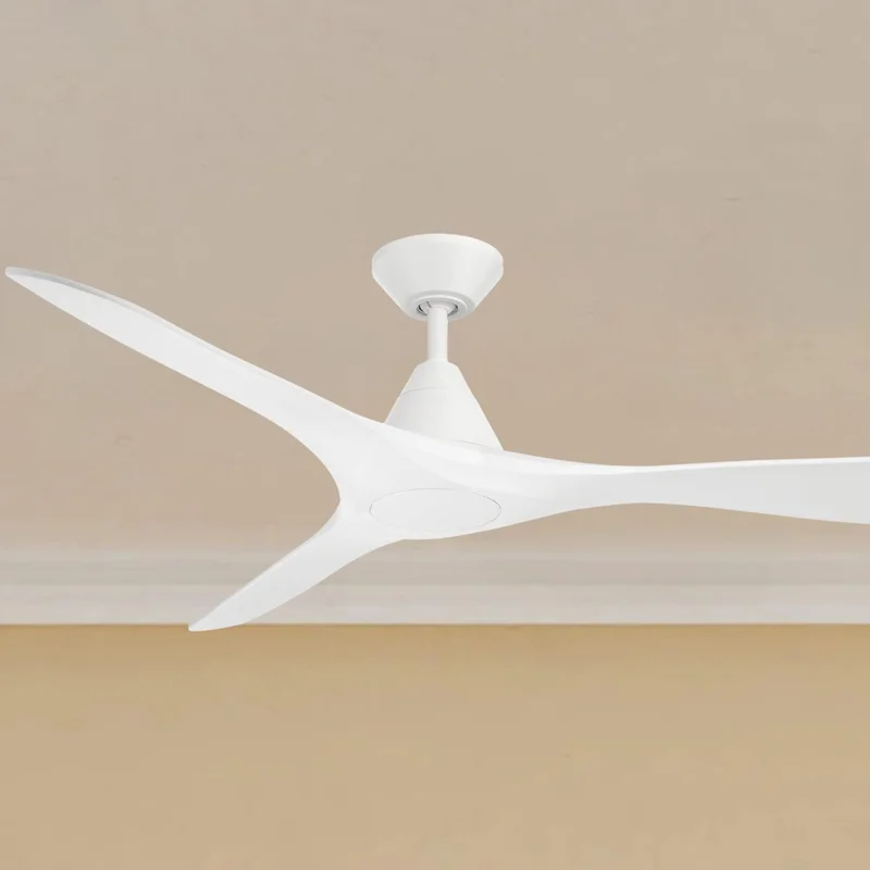 beeslighting22619077