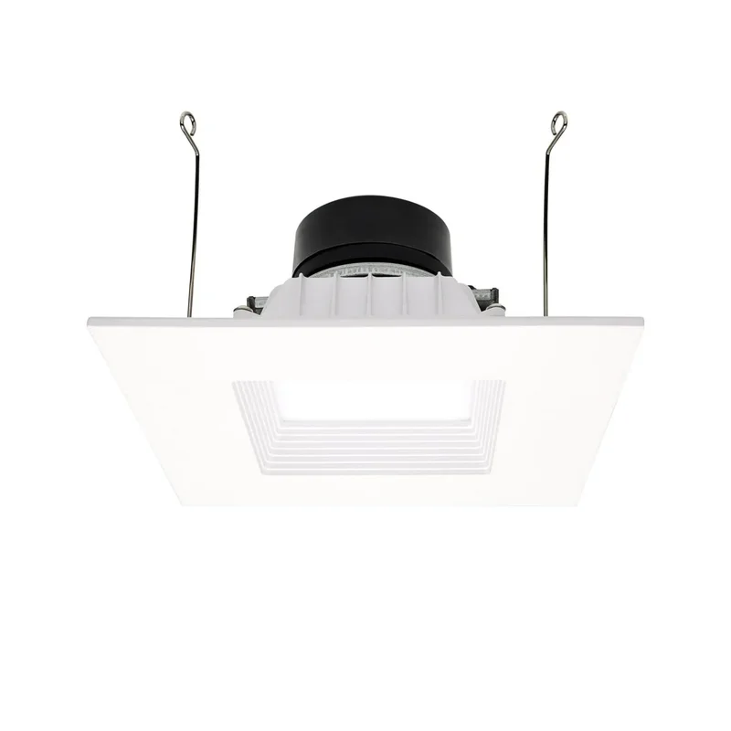 beeslighting22619773